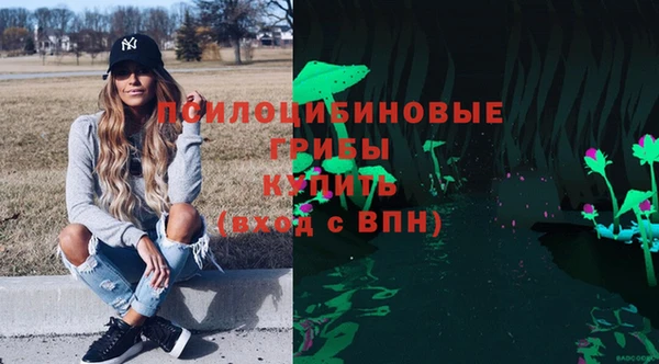СК Магадан