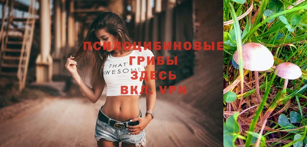 mdpv Майский