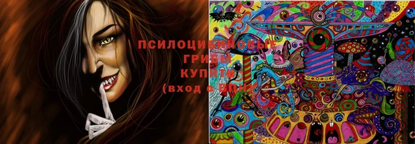 mdpv Майский