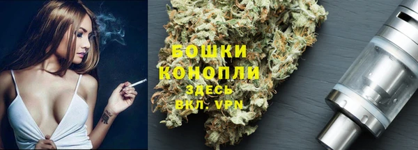 соль ск Долгопрудный
