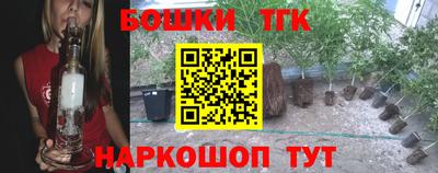 дмт Гусев