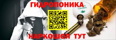 дурь Берёзовский